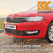 8T - CORRIDA RED - Красный 